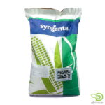 بذر ذرت دراخما دومنظوره سینجنتا