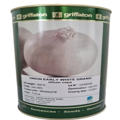 بذر پیاز سفید griffatonمحصول فرانسه